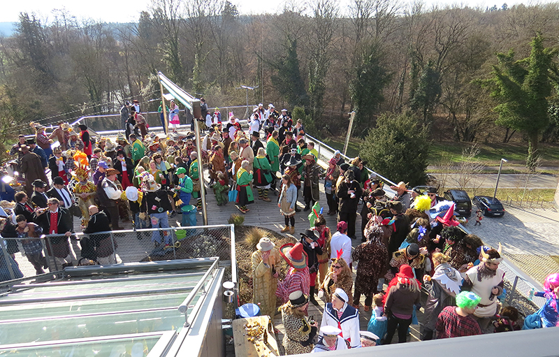 Narren auf dem MPI - Thau