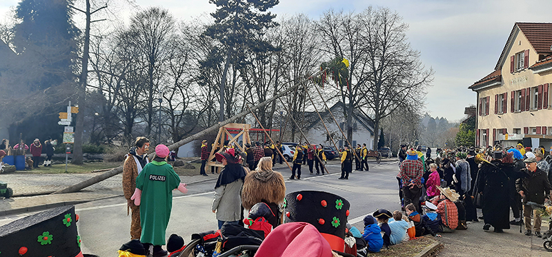 Narrenbaum-Aufstellen - Stolz