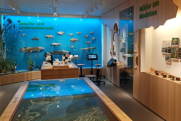 Mindelsee-Ausstellung innen - Ralf Stolz